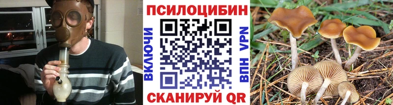 ссылка на мегу зеркало Змеиногорск Галлюциногенные грибы прущие грибы